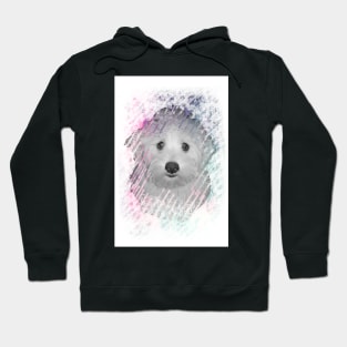 Maltese Molly Hoodie